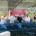 >> Panen perdana ikan nila pada wadah budi daya sistem bioflok, dikembangkan oleh Pokdakan Pisok.