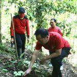 >> Ketua DPC PDIP Tomohon Caroll Senduk, saat menanam pohon.