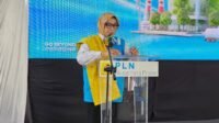 Direktur Jenderal Energi Baru Terbarukan, dan Konservasi Energi Kementerian ESDM Eniya Listiani Dewi