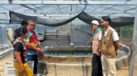 PLN UP3 Manado Perkuat Ketahanan Pangan Lokal melalui Program Pengembangan Budidaya dan Pengolahan Spirulina di Desa Tarabitan