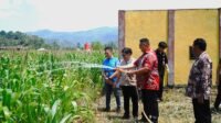 Dukung Ketahanan Pangan dan Perekonomian Daerah, PLN Hadirkan Ekosistem Pengairan Modern Berbasis Listrik untuk Kelompok Tani Torout Jaya