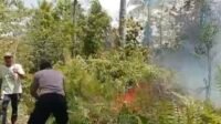 Kebakaran lahan Rainis Talaud