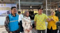 PLN dan Pemkab Morowali Hadirkan Terang 24 Jam di Pelosok Kepulauan Ulunambo dan Paku